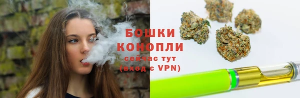 ГАЛЛЮЦИНОГЕННЫЕ ГРИБЫ Магас