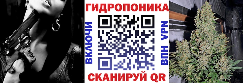 Марихуана сатива  Купить где  Дыгулыбгей 